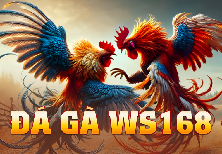 Đá Gà WS168