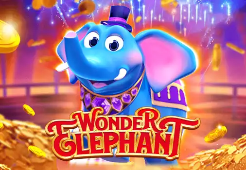 Wonder Elephant