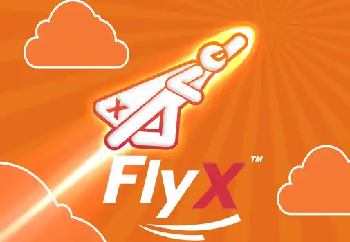 FlyX